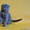 Питомник шотландских кошек \"Ostrov Cat\"  - Изображение #1, Объявление #49944