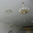 Натяжные потолки в Нижнем Тагиле - Изображение #6, Объявление #821067