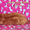 котенок мейн кун красный солид - Яков - Изображение #1, Объявление #1357207