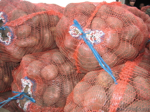 продам сеткау для упаковки овощей и картофеля, дров, веников - Изображение #1, Объявление #250397