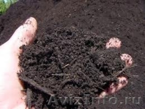 Щебень чернозем скала отсев глина навоз перегной песок бетон торф - Изображение #3, Объявление #1079877