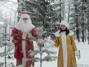 Дед Мороз и Снегурочка поздравление на дому - Изображение #1, Объявление #1338319